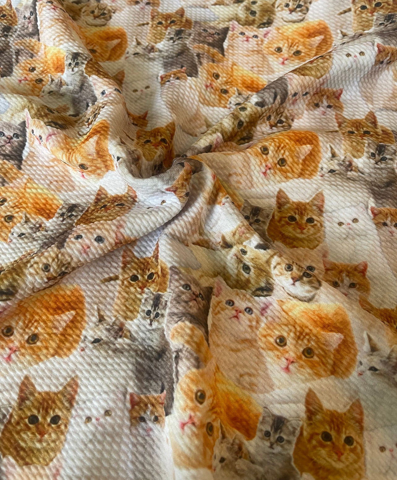 Love My Kittens | Bullet