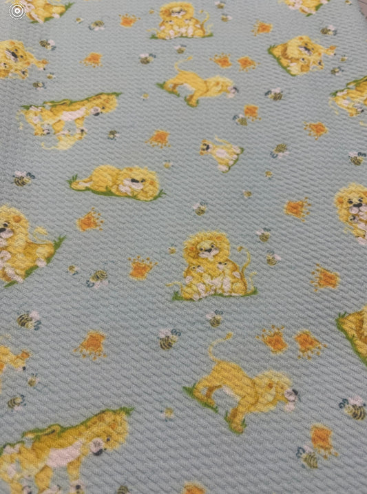 Playful Lions | Bullet