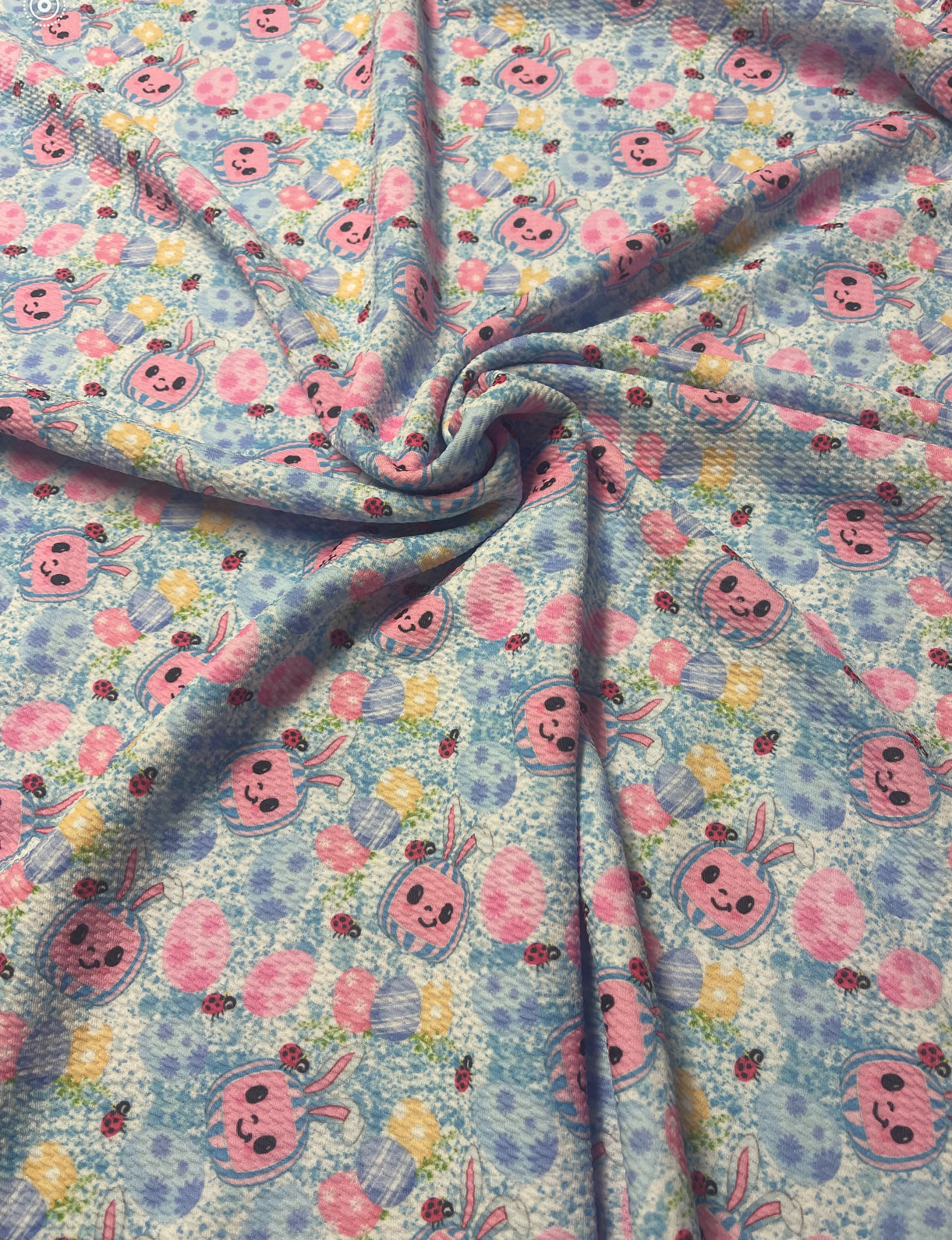 Silly Melon Bunny on blue Background | Bullet