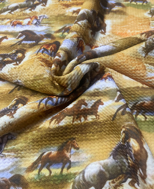 Wild Horses | Bullet