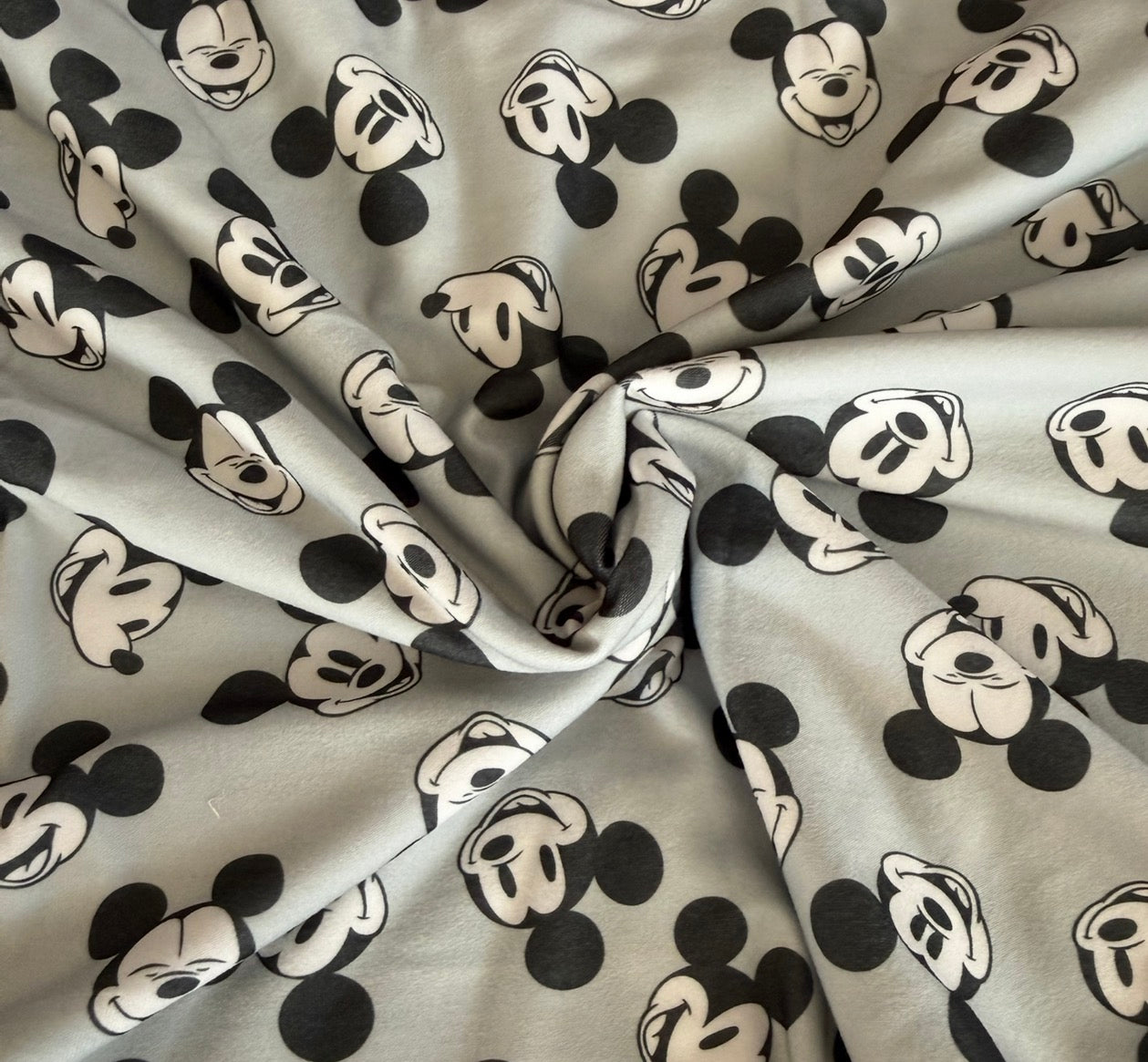 Gray mouse |. DBP