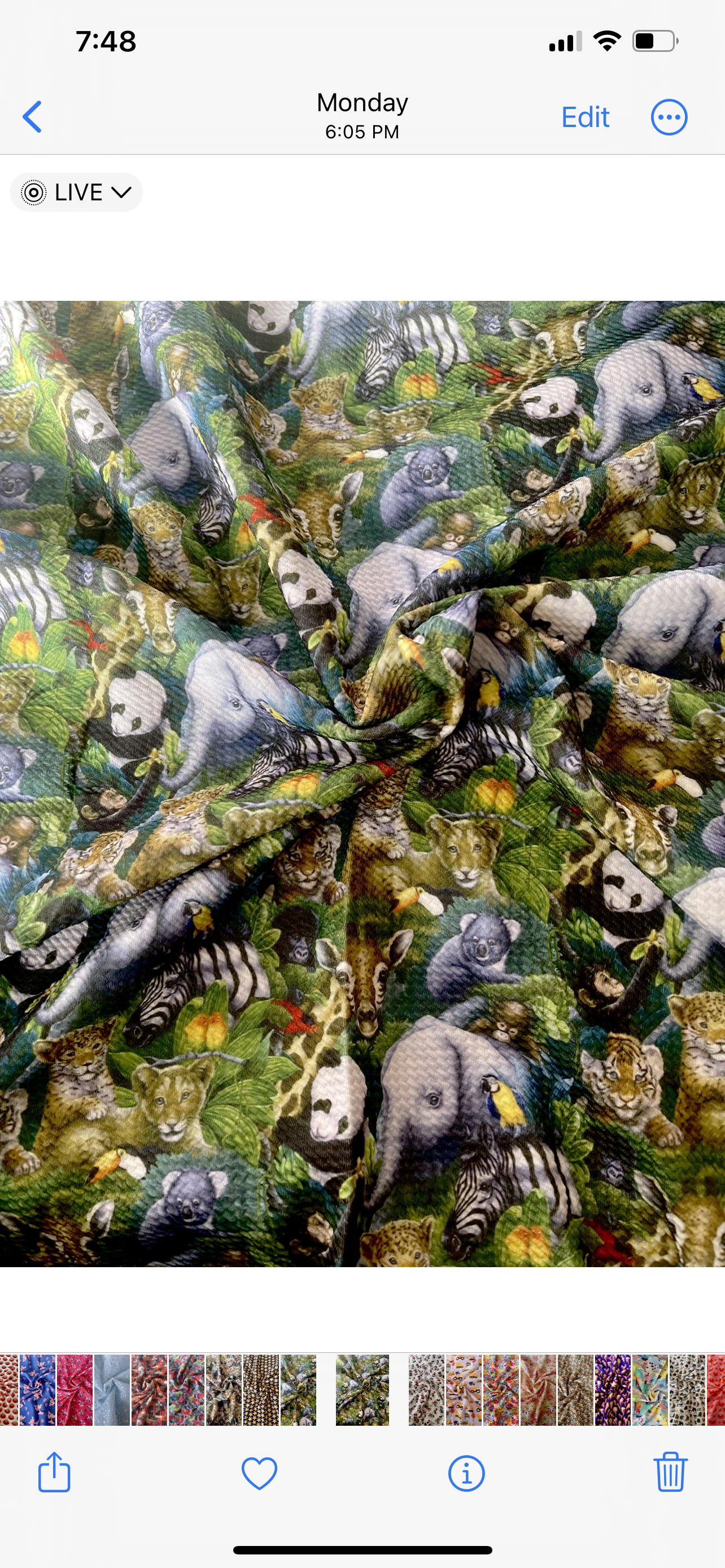 Jungle Friends | Bullet