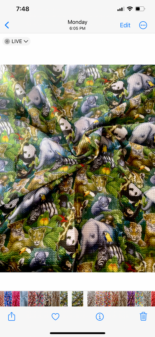 Jungle Friends | Bullet