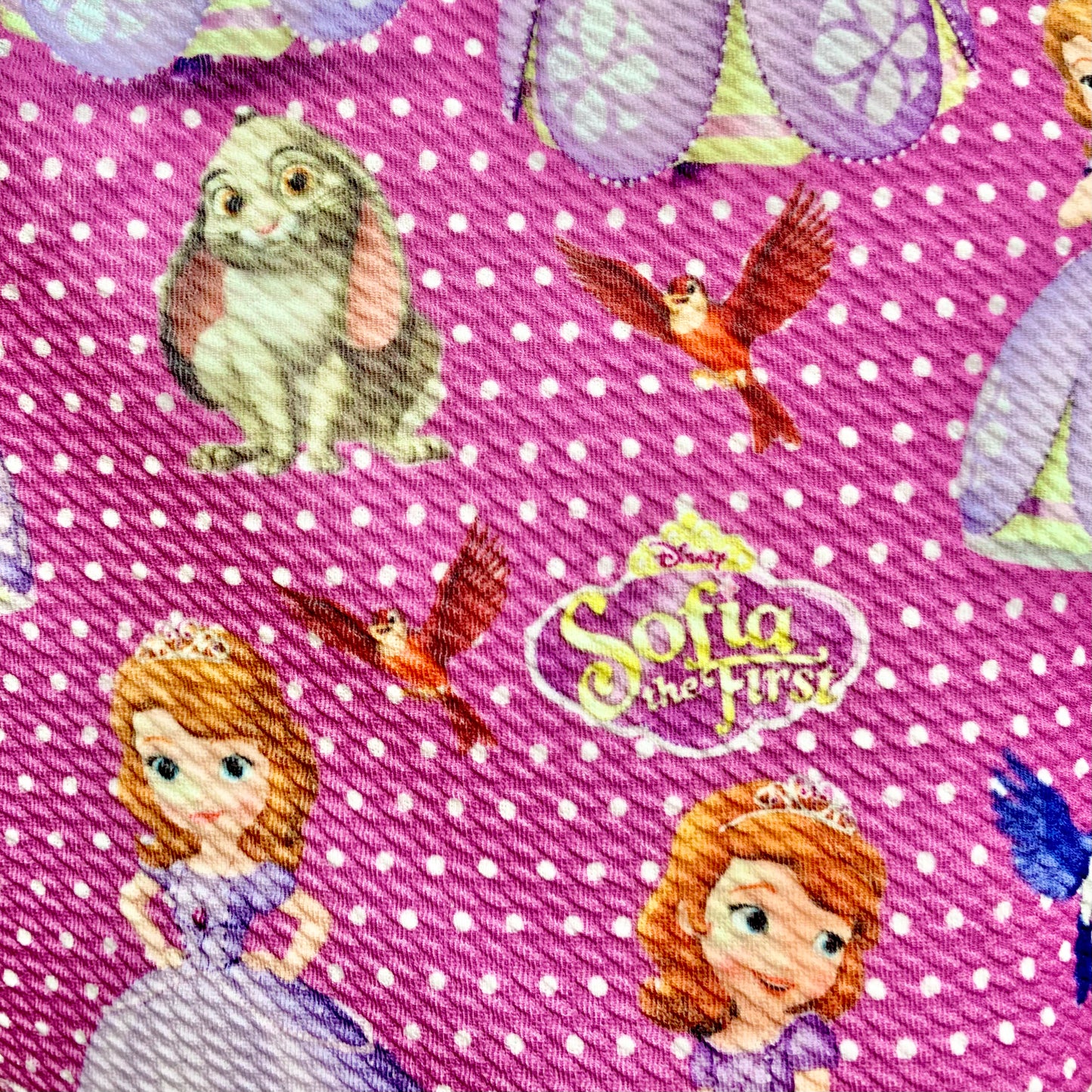 Sofia the First | Printed Bullet