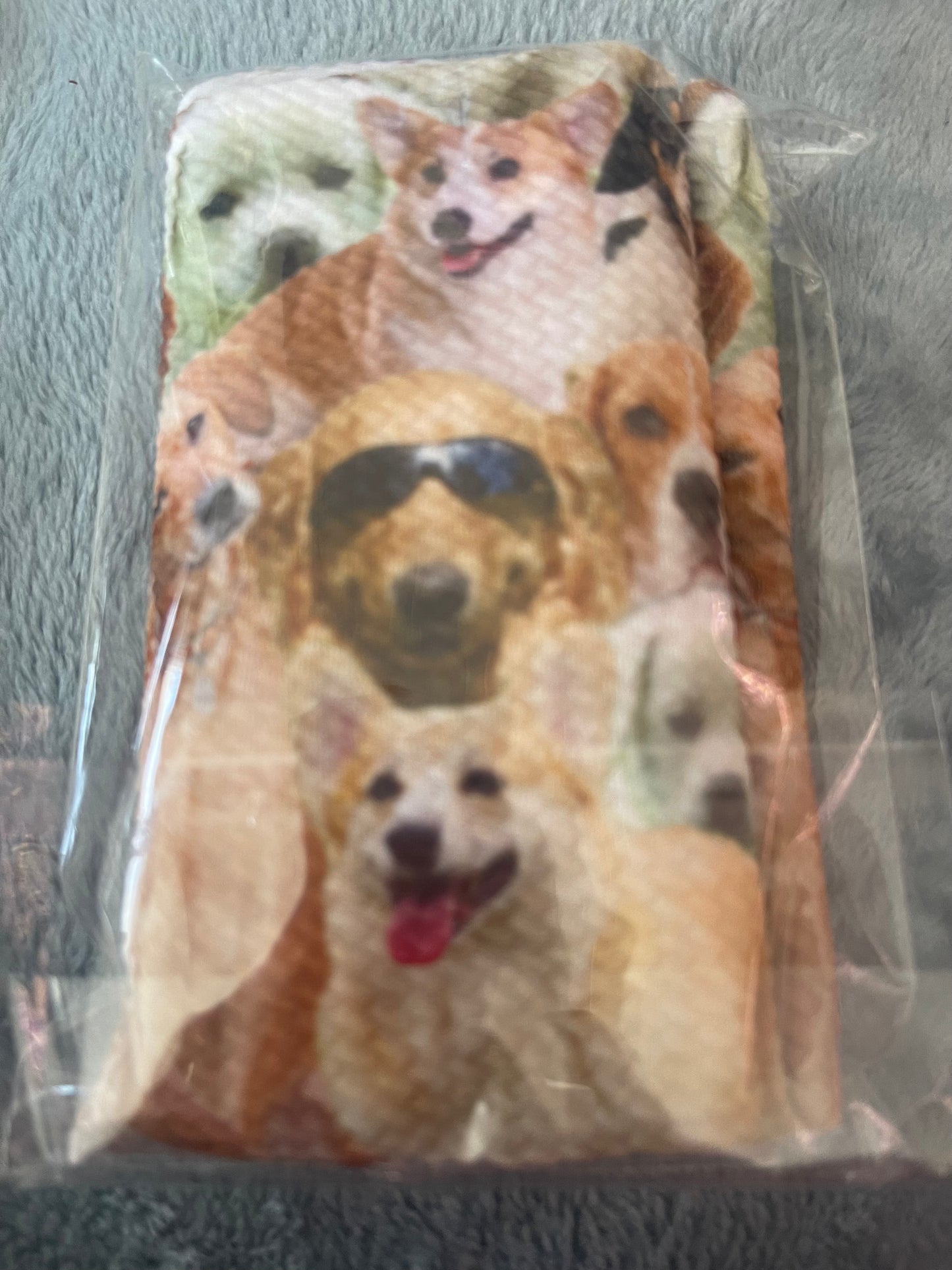 Dogs | Bullet