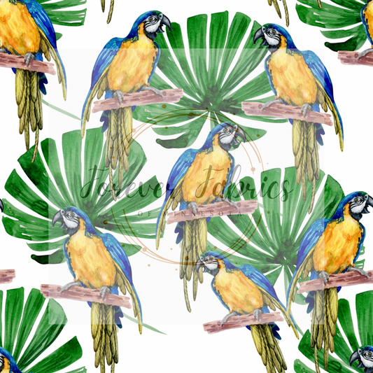Parrots | Preorder | By The Yard
