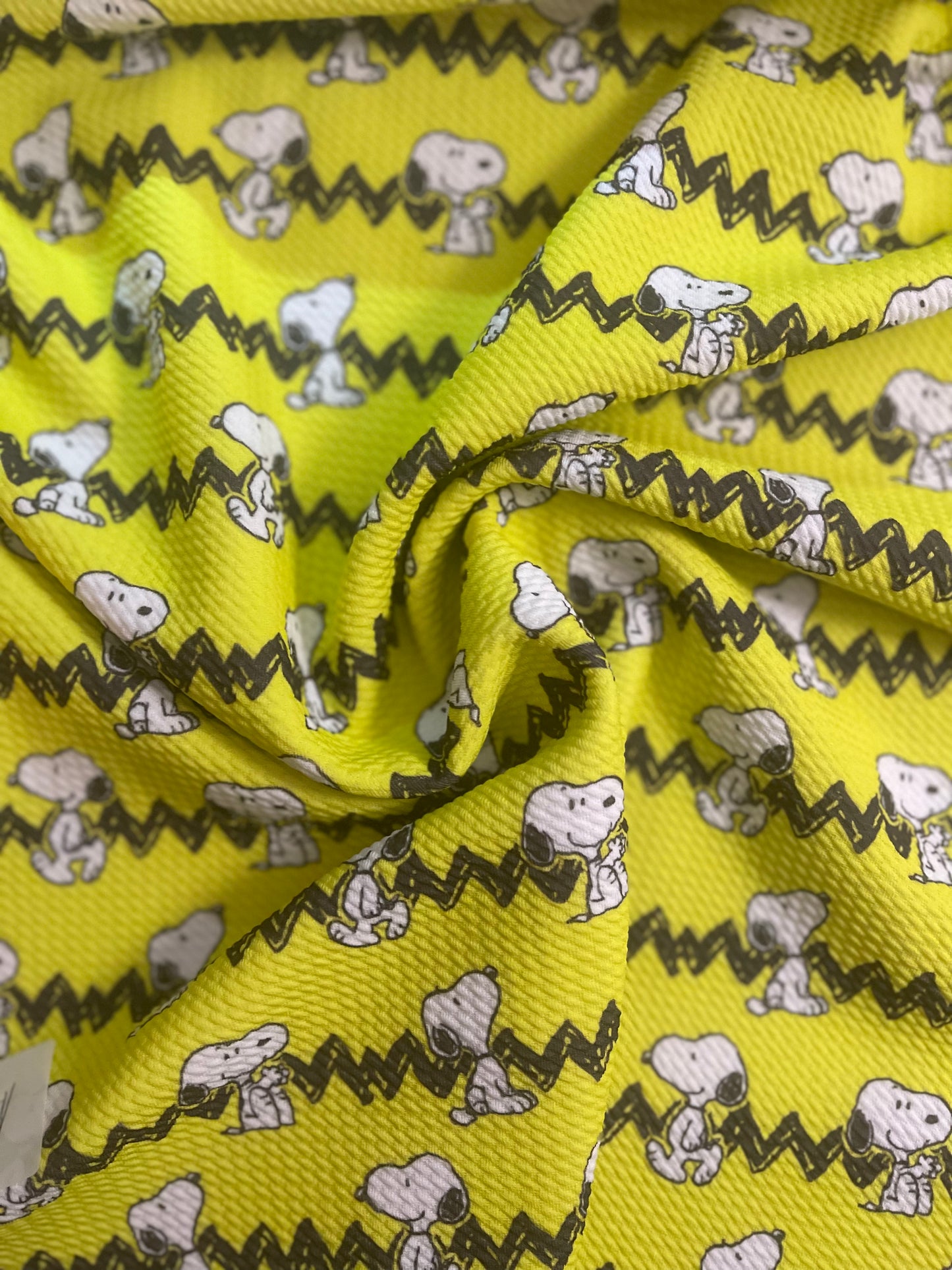 Chevron Snoopy Bullet