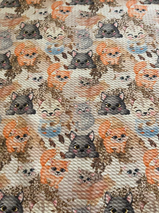 Kittens Galore | Bullet