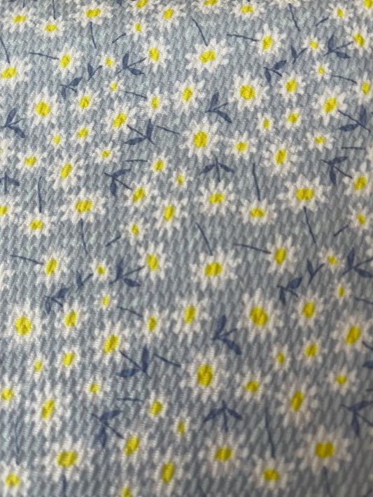 Blue Daisies | Bullet