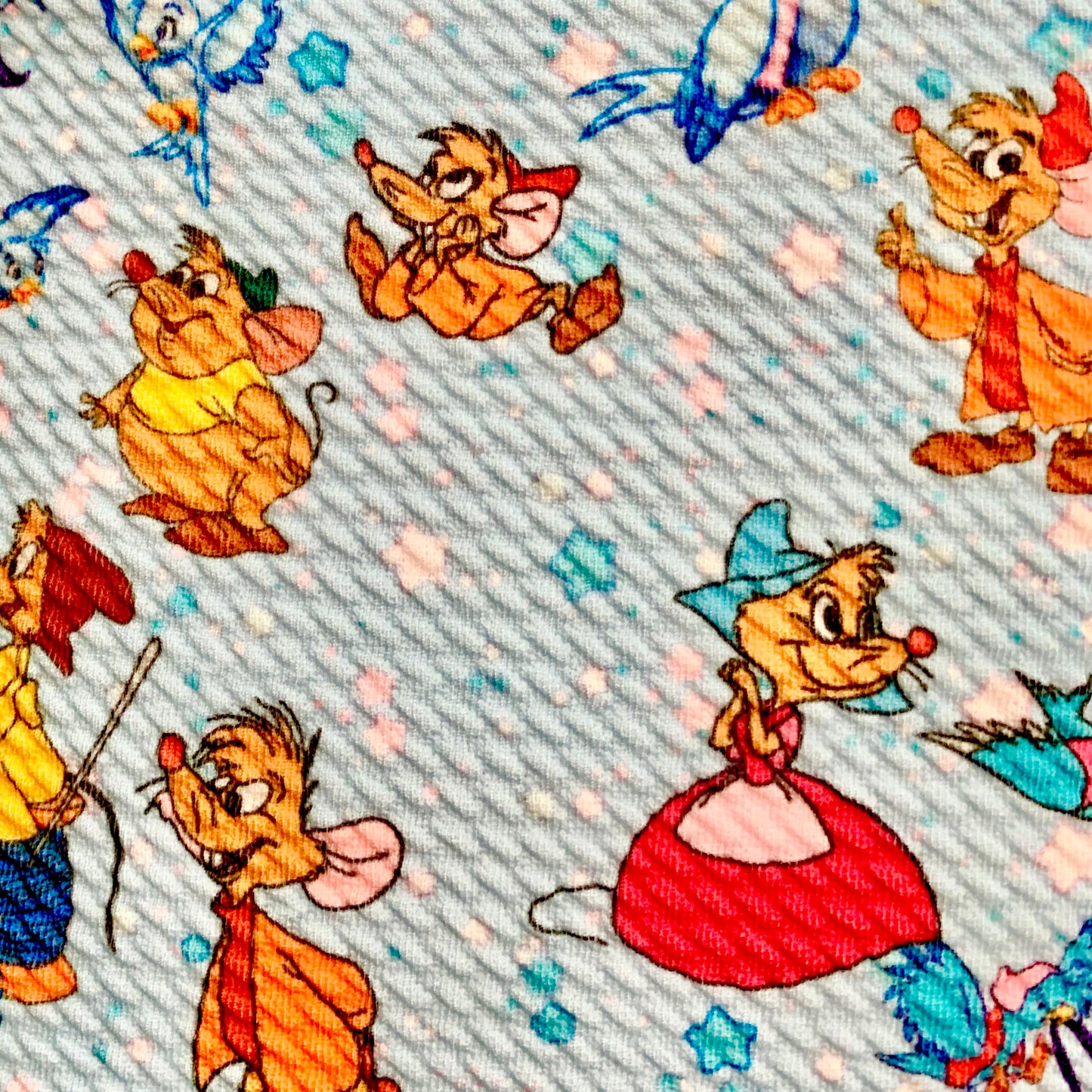 Cinderella’s Friends | Printed Bullet