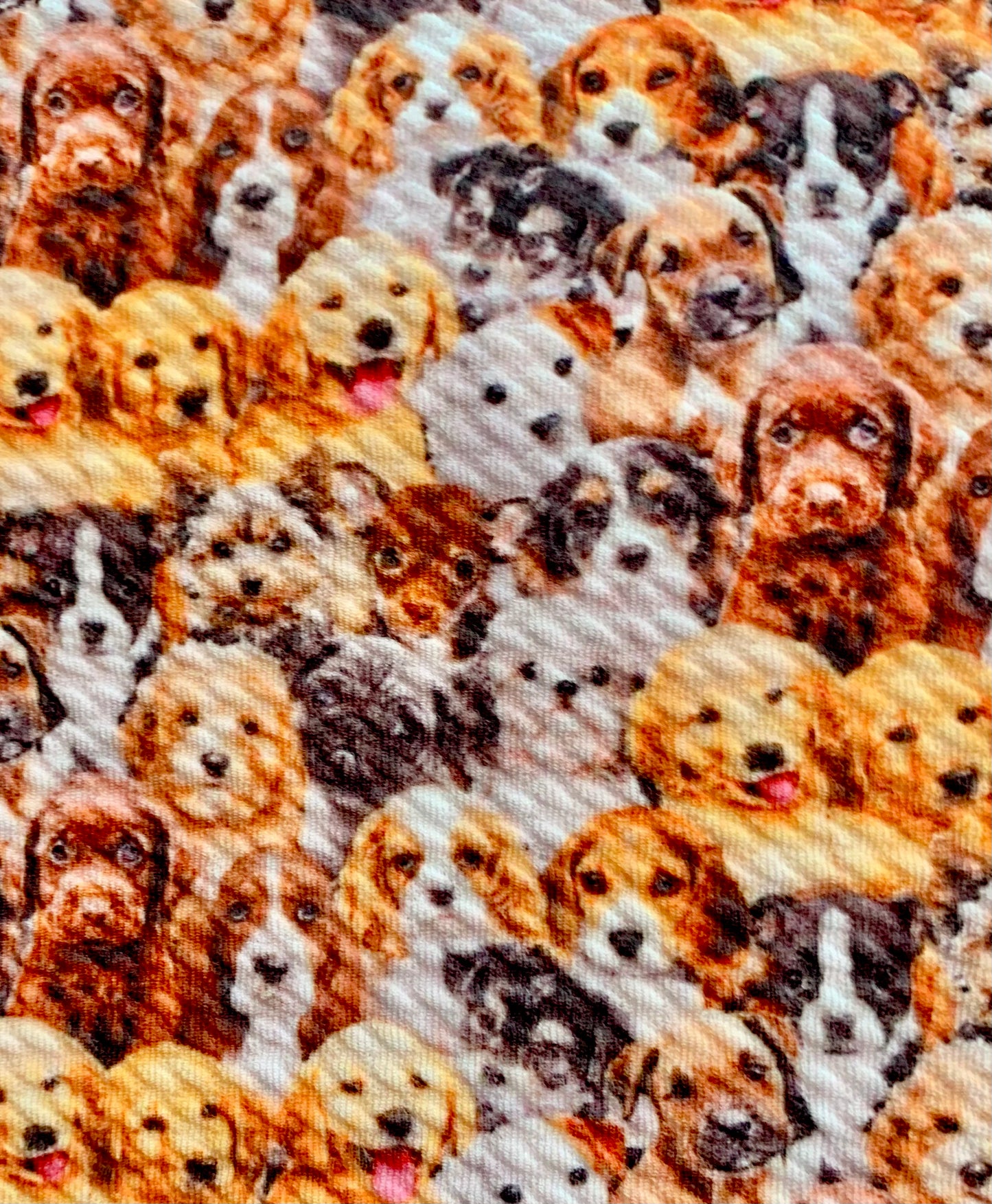 Puppy Faces | Bullet