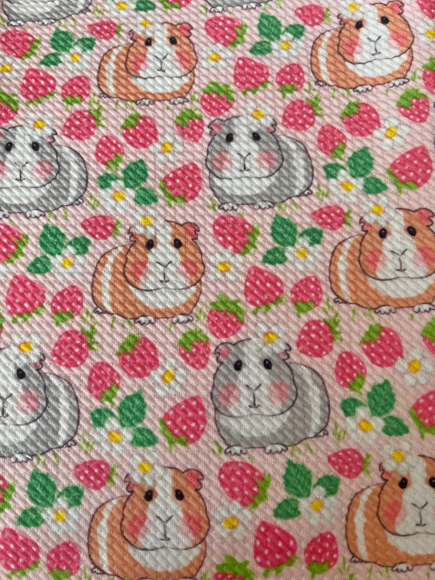 Pink Guinneas | Bullet