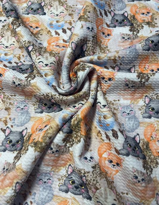 Kitty Faces | Printed Bullet