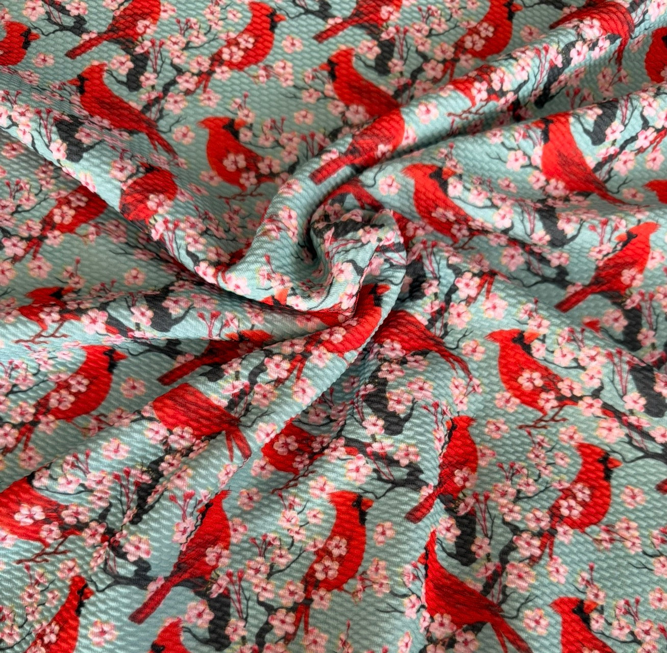 Summertime Cardinal  | Bullet