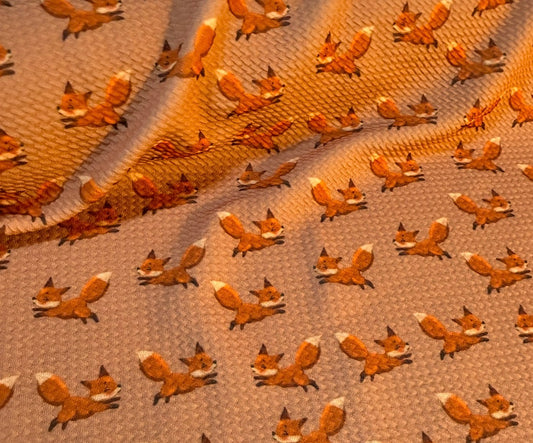 See how the fox run  | Bullet