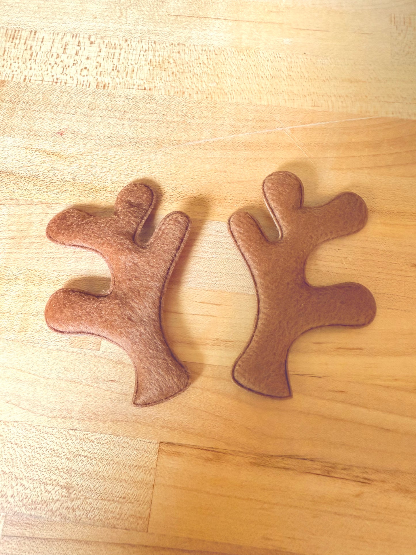 Reindeer Antlers