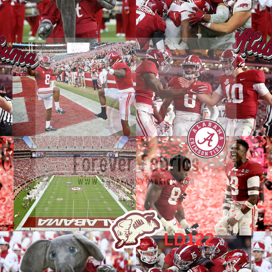 LD122 -Alabama Collage  22| Preorder | By The Yard