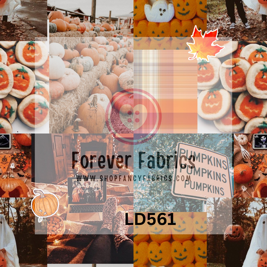 LD561   -22| Preorder | By The Yard
