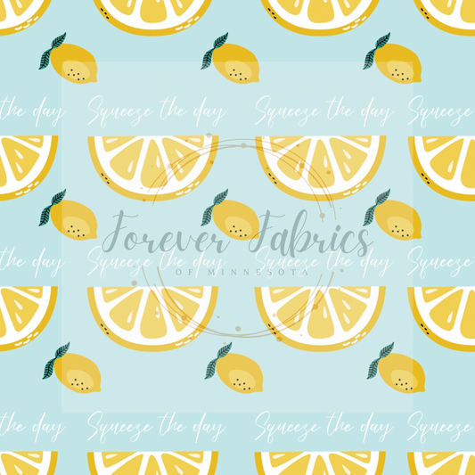 Orange Slices | Preorder |By The Yard
